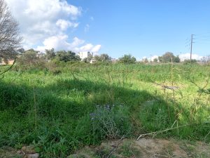 Baugrundstück in Chania - Baugrundstück in Chania auf Kreta zu verkaufen
