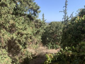 Blick in die Umgebung - Baugrundstück mit Meerblick bei Kalyves auf Kreta zu verkaufen