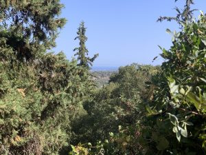 Meerblick vom Grundstück - Baugrundstück mit Meerblick bei Kalyves auf Kreta zu verkaufen