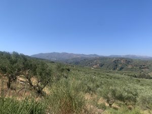 Panoramablick über die Landschaft - Großes Baugrundstück mit Meerblick bei Maleme auf Kreta zu verkaufen