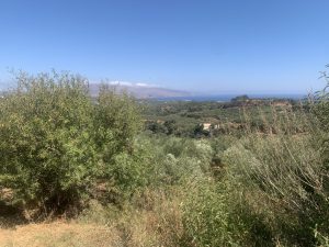 Blick über das Grundstück zum Meer - Großes Baugrundstück mit Meerblick bei Maleme auf Kreta zu verkaufen
