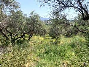 Baugrundstück mit Meerblick bei Kalyves - Immobilie auf Kreta