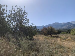 Grundstück mit Bergpanorama - Ebenes Baugrundstück bei Kalyves auf Kreta zu verkaufen