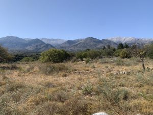 Bergblick über das Grundstück - Ebenes Baugrundstück bei Kalyves auf Kreta zu verkaufen