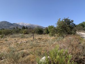 Ebenes Grundstück mit Bergblick - Ebenes Baugrundstück bei Kalyves auf Kreta zu verkaufen