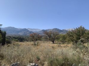 Blick bis zum Meer - Ebenes Baugrundstück bei Kalyves auf Kreta zu verkaufen