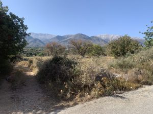 Zufahrt zum Grundstück - Ebenes Baugrundstück bei Kalyves auf Kreta zu verkaufen