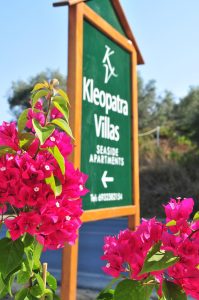 Kleopatra Villas & Apartments in Kolios auf Skiathos