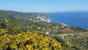 Küste bei Agia Pelagia - Kythira Golden Sun Agia Pelagia