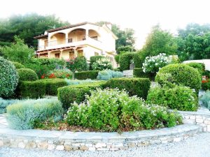 Milia Bay Hotel Apartments auf Alonissos