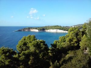 Milia Bay Hotel Apartments auf Alonissos