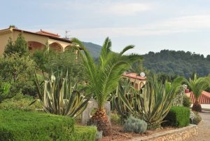 Milia Bay Hotel Apartments auf Alonissos