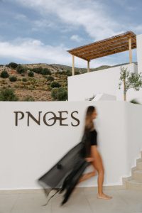 Pnoes Skyros in Kalamitsa