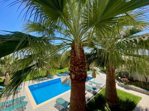 Pool unter Palmen – Manolis Apartments, Plakias