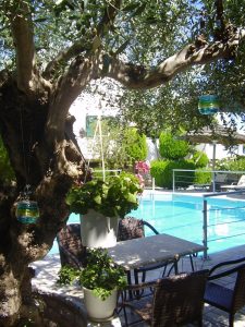 Pool zwischen Olivenbäumen – Paris Village, Chrani