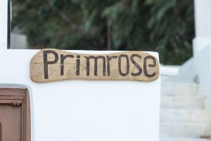 Primrose Apartments, Pera Gialos, Astypalea