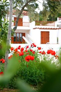Skopelos Summer Homes in Skopelos-Stadt