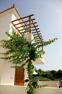 Skopelos Summer Homes in Skopelos-Stadt