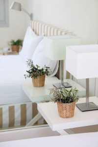 Skyros Ammos Hotel in Magazia