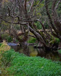 Vouraikos-Fluss am Grundstück - Muntenia Inn Kalavrita