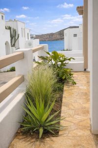Weg mit Blick aufs Meer – Althea Suites, Naoussa