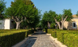 Wege durch den Garten - – Aldemar Olympian Village, Skafidia