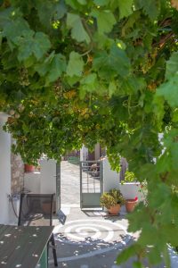 Weinlaube - Steinhaus Koumeika Samos